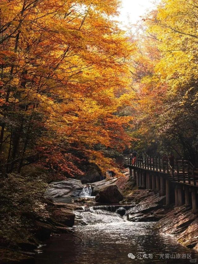 宝子你听我说，近期天气好、红叶美，光雾山可以冲了!