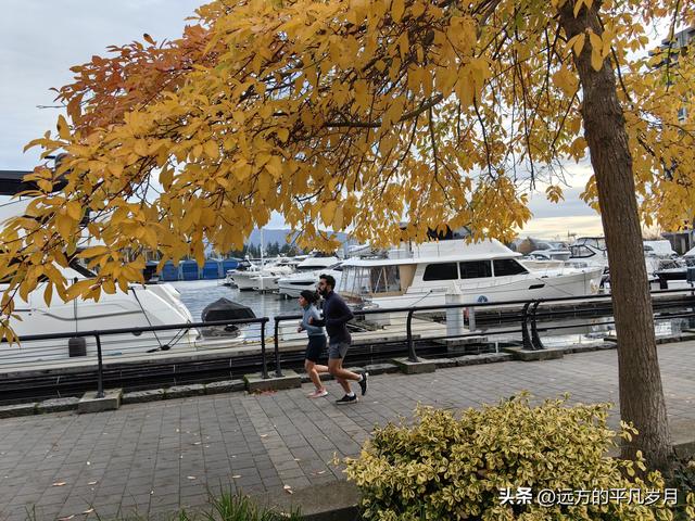 温哥华游记（一）