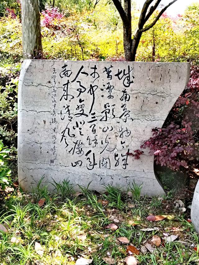家在黔灵甲秀间（上）