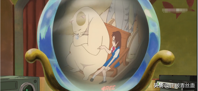 电影《猫的报恩》：在猫咪王国奇幻冒险，寻找真正的自我