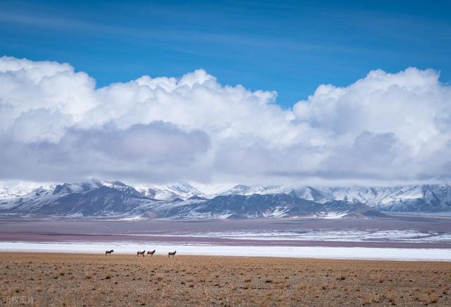 别拿生命开玩笑，中国四大无人区到底有多吓人？可能进去就出不来