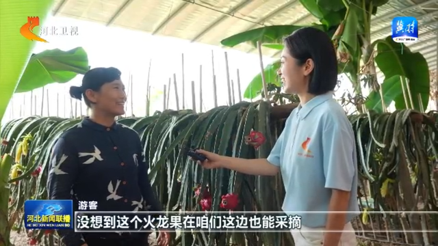 沿着河湖看河北 | ① 滹沱河：从一次特殊“家访” 探寻“活力密码”