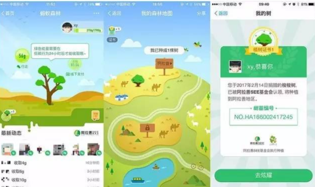 马云斥巨资在沙漠里种树，承诺每年1亿棵，9年过去了，树怎样了