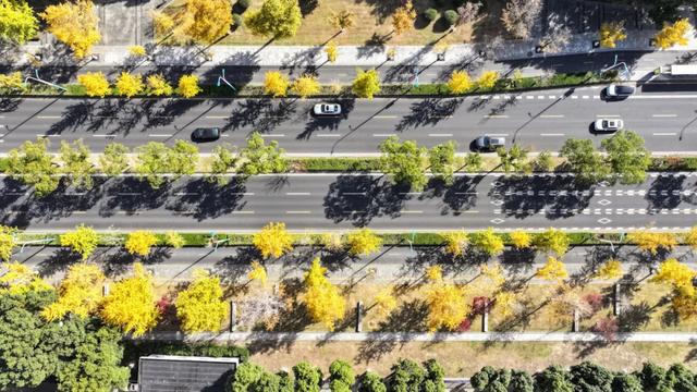 20个点位已公布！张家港人拍照请抓紧