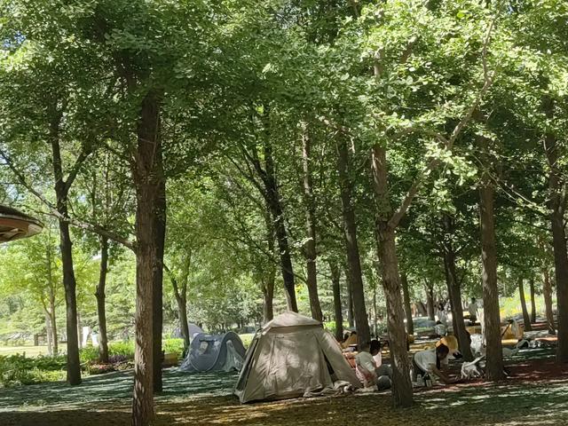 在康熙畅春园遗址上建的北京海淀公园