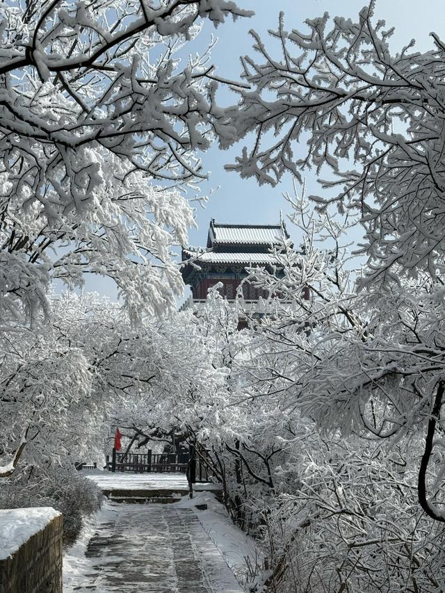 首遇云台山的雪凇美景