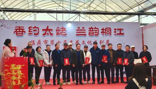 相约太姥 兰韵桐江｜福鼎市第十届兰花文化展开幕，共赴春日雅集