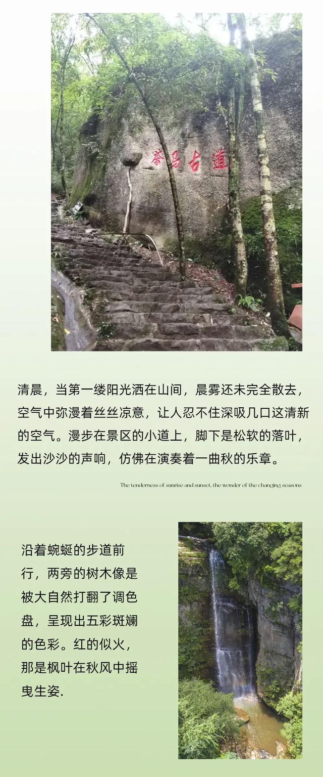 秋意正浓！快来邂逅汉江源秋天之美→