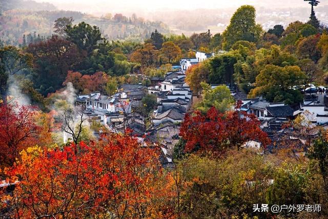 退休族候鸟式自驾游，照着这篇攻略走准没错！