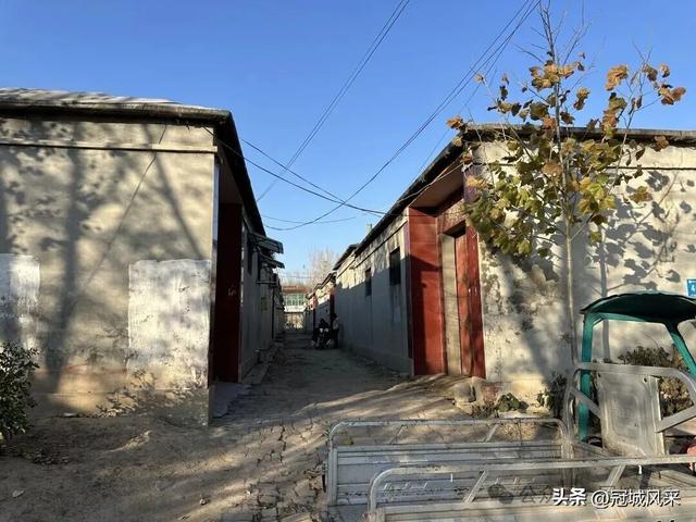 冠县乡韵·贾镇荆楼村