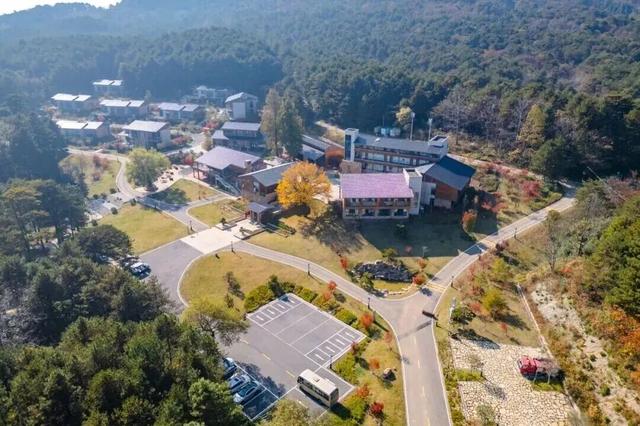 免票！半价！凭电影频道M榜门票，解锁宜昌景区优惠！