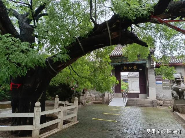 暑假在邹平，这几条研学旅游线路请收好！