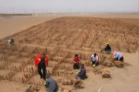 中国又一奇迹工程！塔克拉玛干沙漠“锁边”，死亡之海变成绿洲图片