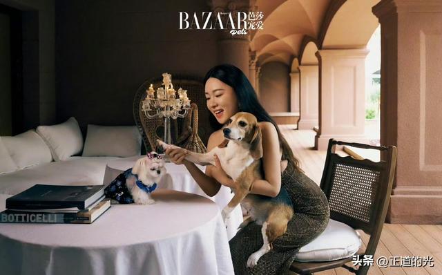 霍思燕穿旗袍携爱犬夺冠前凸后翘丰乳肥臀 难怪杜江对她生理性喜欢