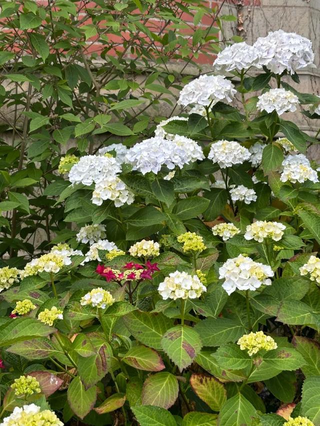 6月，谁说天空一无所有？(下)