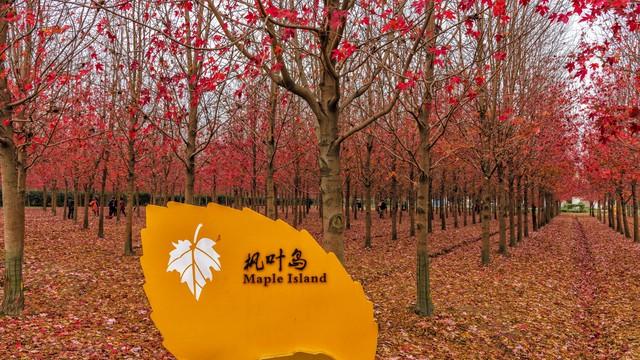 贵州私藏的5个秋色仙境，最后一个惊艳了千年时光！