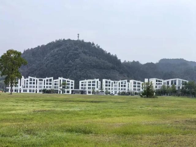 重振昌化，需要风之谷发挥作用