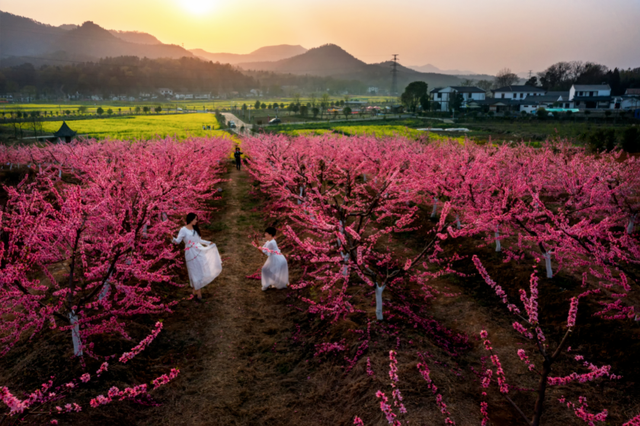 看不完，根本看不完！