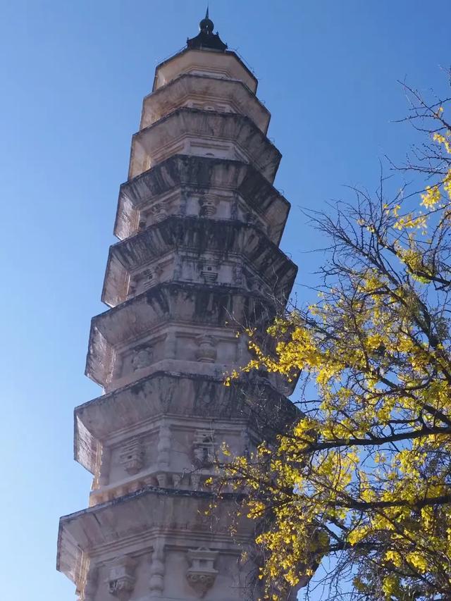 天气很冷，大理很“热”