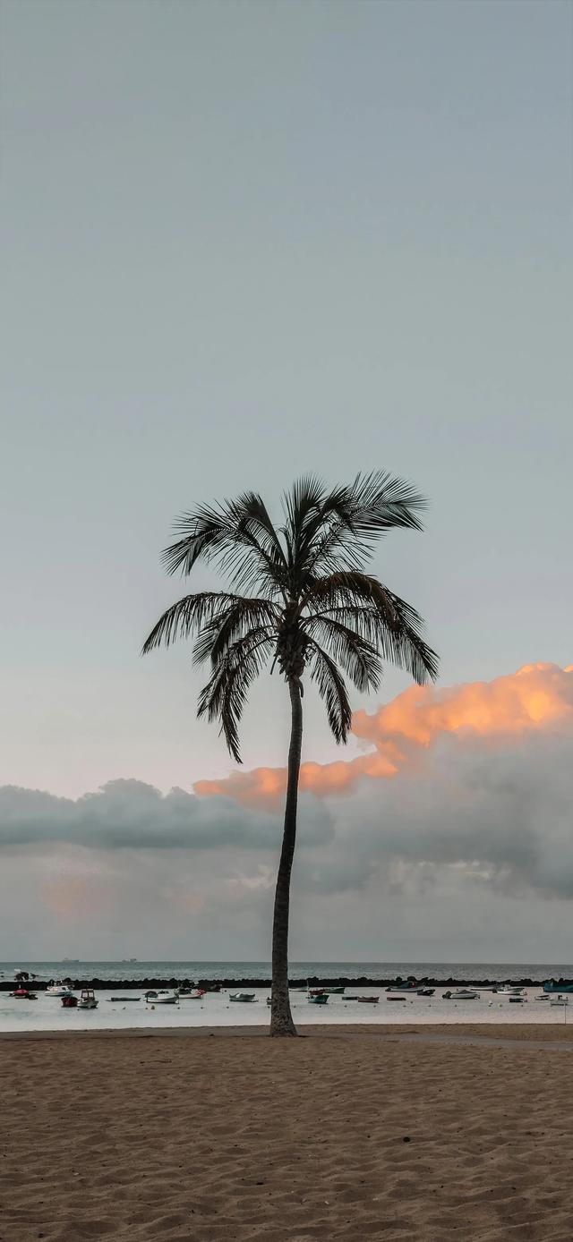 壁纸| 日有小暖,岁有小安