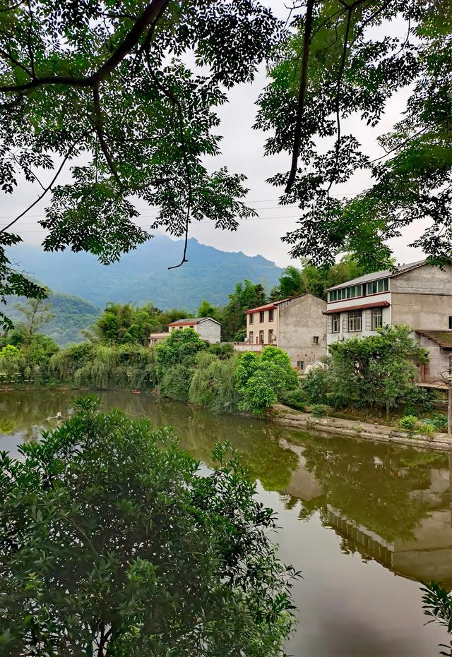 神奇骆崃山 ， 99匹骏马想与你相见