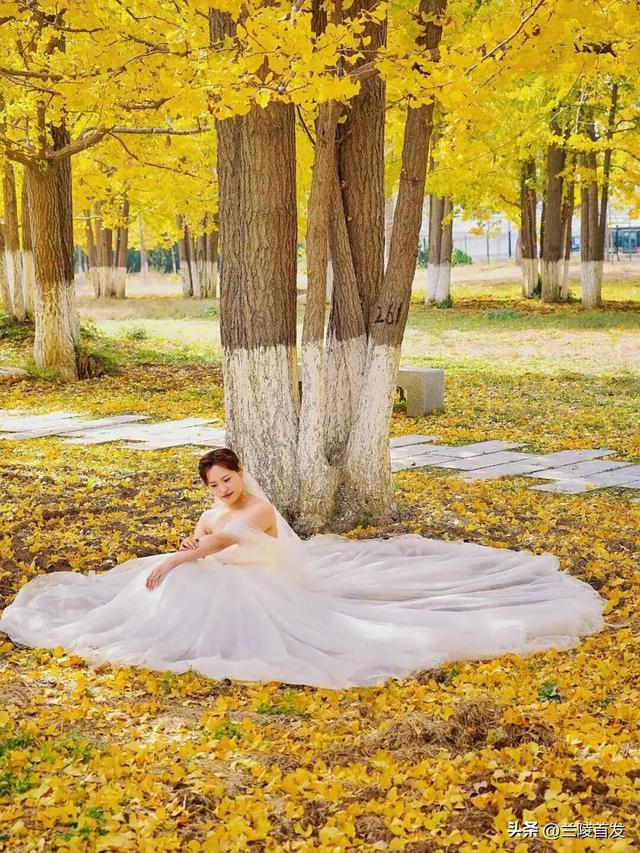 好客山东好品山东| 临沂的秋天，这10处绝美打卡地别错过！先收藏慢慢逛~