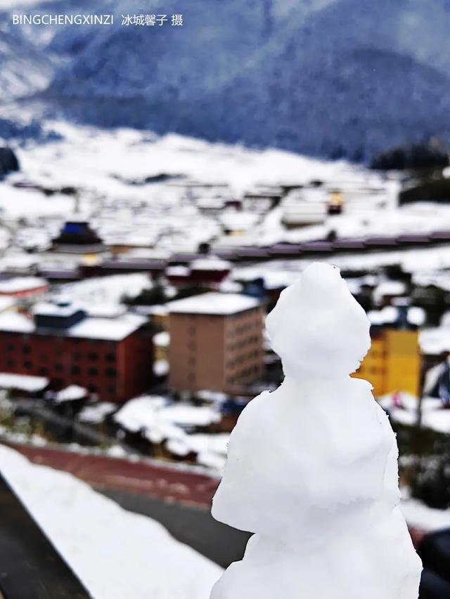 甘南-川西北之旅-6︱六月雪吻郎木寺