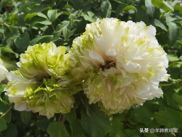 洛阳古墓博物馆