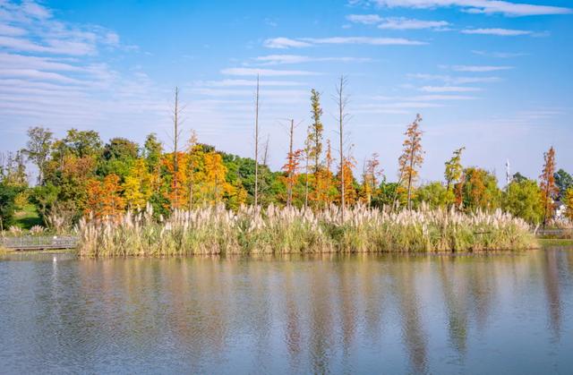 今日大雪 | 打卡这里,定格冬日专属美照