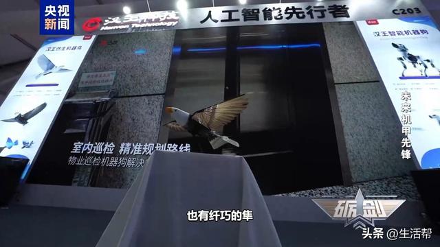 隐蔽性极强！未来战场看“鸟群”出击