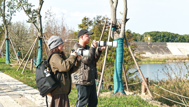 江海湿地：最适合听潮声、看日出日落、观侯鸟