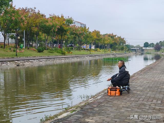 云梦生态浮岛的三重奏