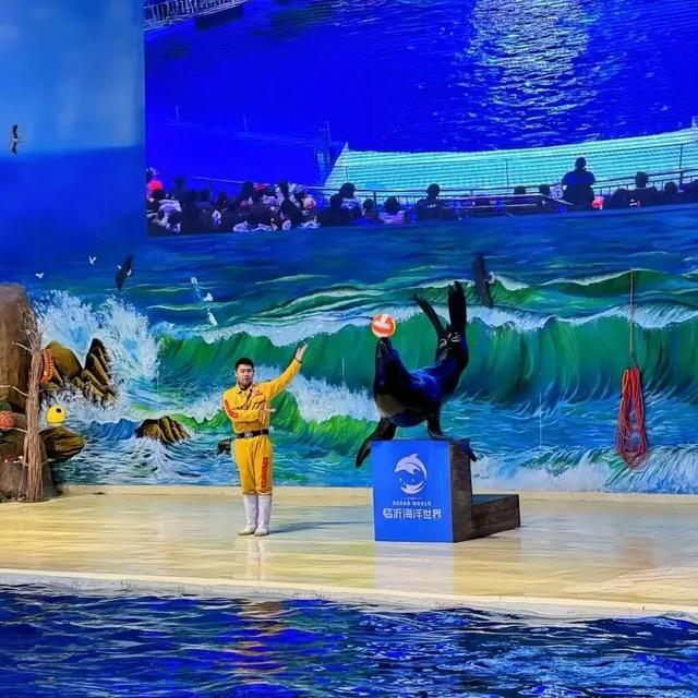 暑假进度条过半，临沂这些遛娃胜地你都打卡了吗？
