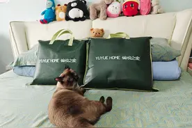 颠覆传统！硅胶凉席和夏凉被居然用起来这么爽？图片