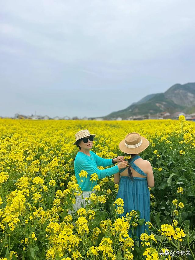 散文·汉中四月,油菜金黄·