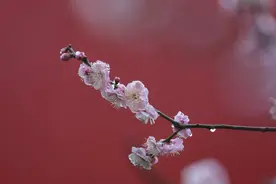 35岁-45 岁网名，微信名字昵称，重复率低，快用上吧！图片