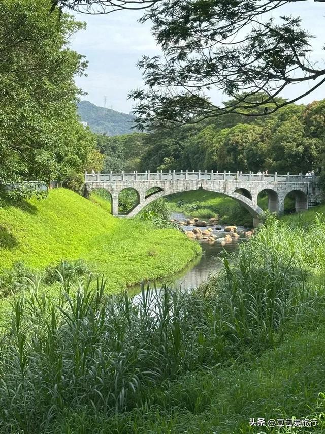 人文、自然、都市四日闲趣——深圳福田区深度漫游指南