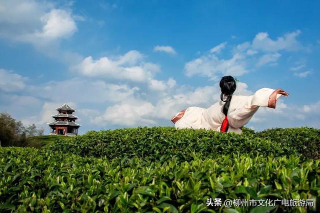 秋游柳州，在三江收藏一片秋天~