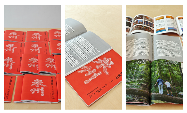 在古城泉州 聆听巷陌间的千年故事