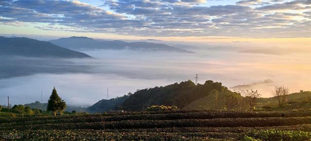 向阳出发，7个暖冬之旅目的地，气候温暖，可以轻装出行