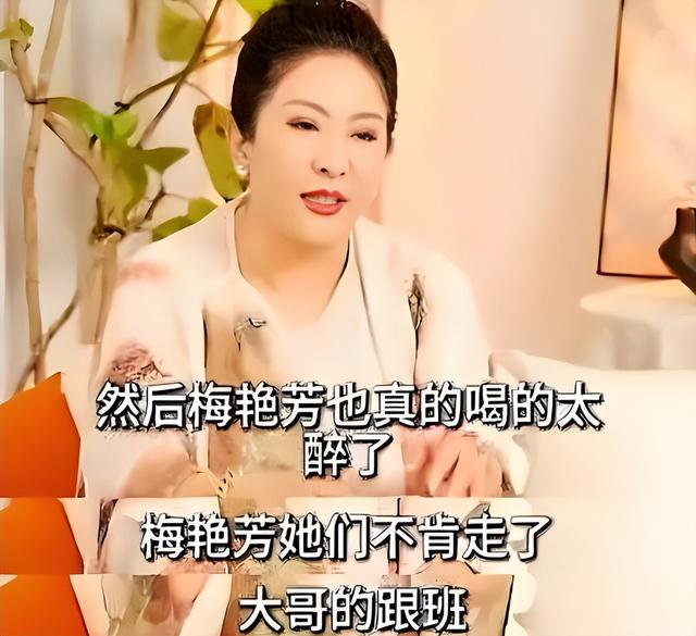 向太曝光梅艳芳事件真相，被追杀躲泰国2年， 陪身边的不是赵文卓