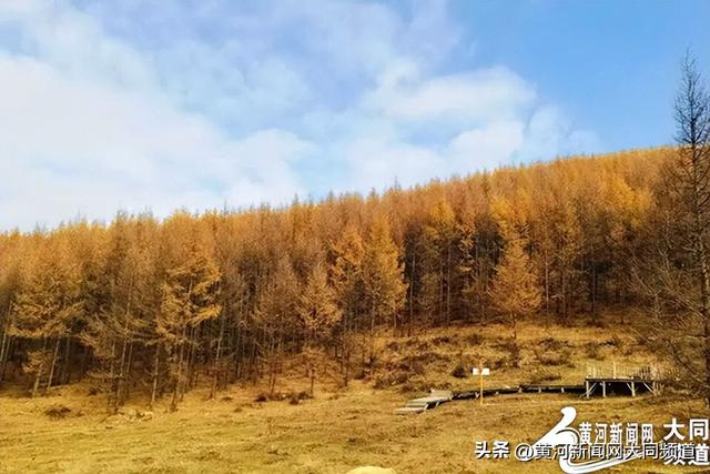 错峰出游正当时 浑源文旅热度持续攀升
