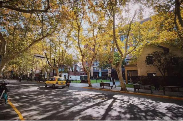 分展区丨数字长宁 walk 返场！从上海硅巷出发到愚园路