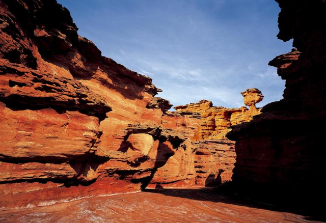 2026来阿拉善过大年｜属马 / 姓马专属优待，@你“马”上享受优惠