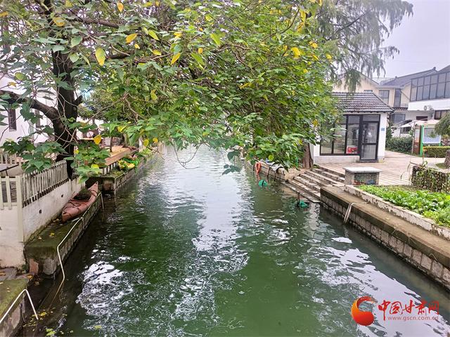 会里会外看进博：上海文化地标编织城市斑斓图景