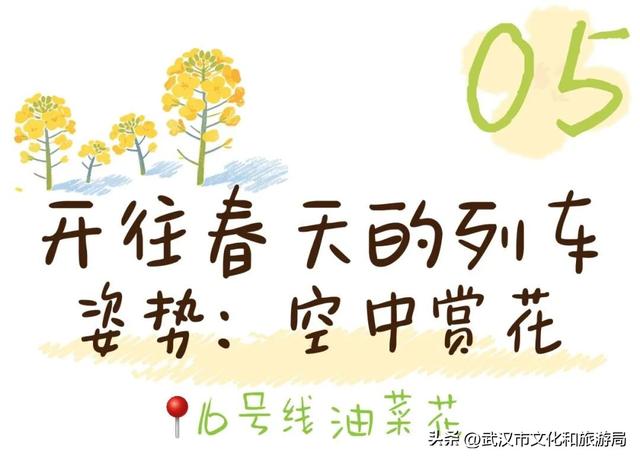 武汉春天最壮观的花海，全城盛开！