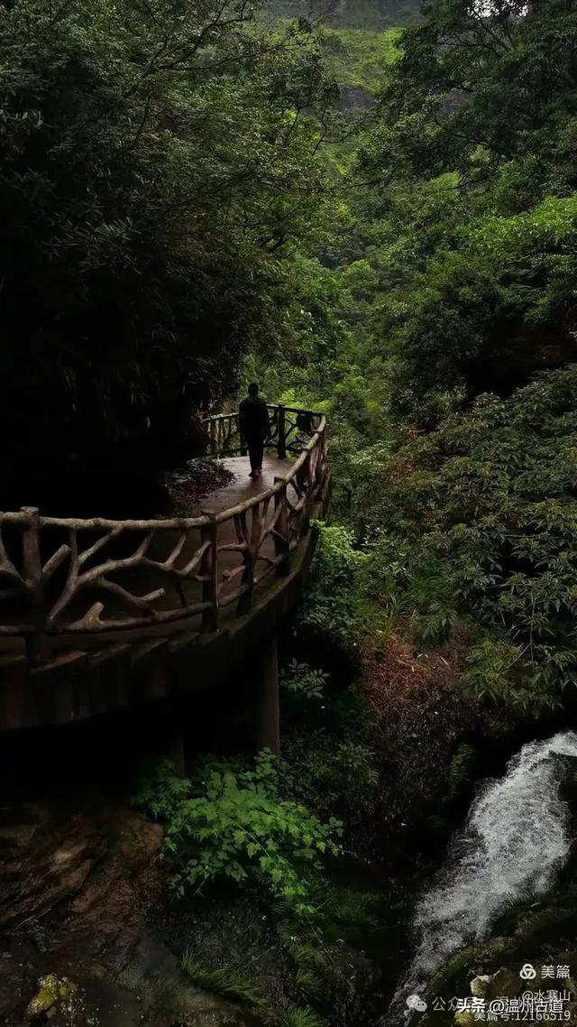 这座温州最具桃源的古村，避暑佳地，你可去过？