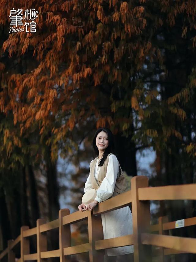 期待！七星岩落羽杉即将“变装”→