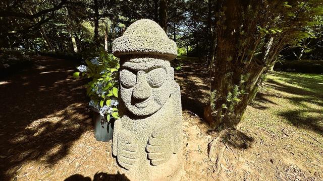 感受自然之美,夏日里的清幽秘境, 韩国济州岛汉拿树木园