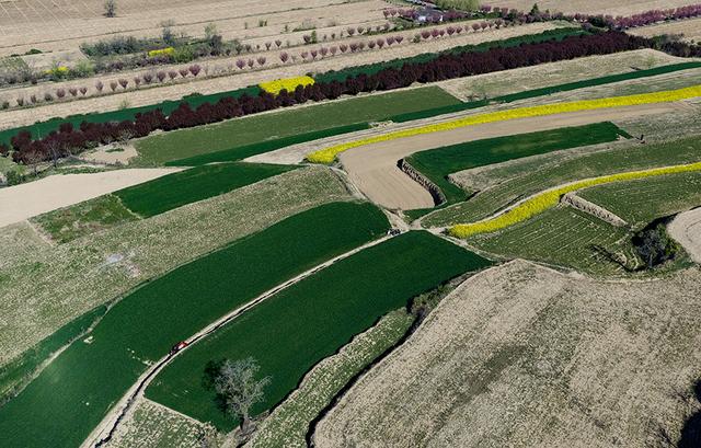 【视觉临汾】山西襄汾：山乡春色 秀美梯田